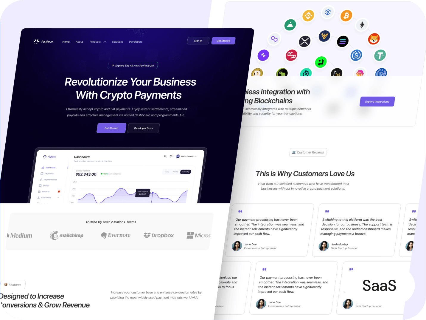 Payrevo - Website & Dev